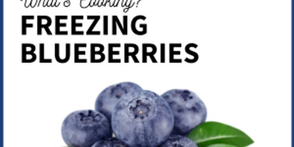 freezing blueberries